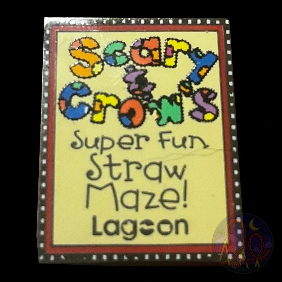 Super Fun Straw Maze! amusement park pin