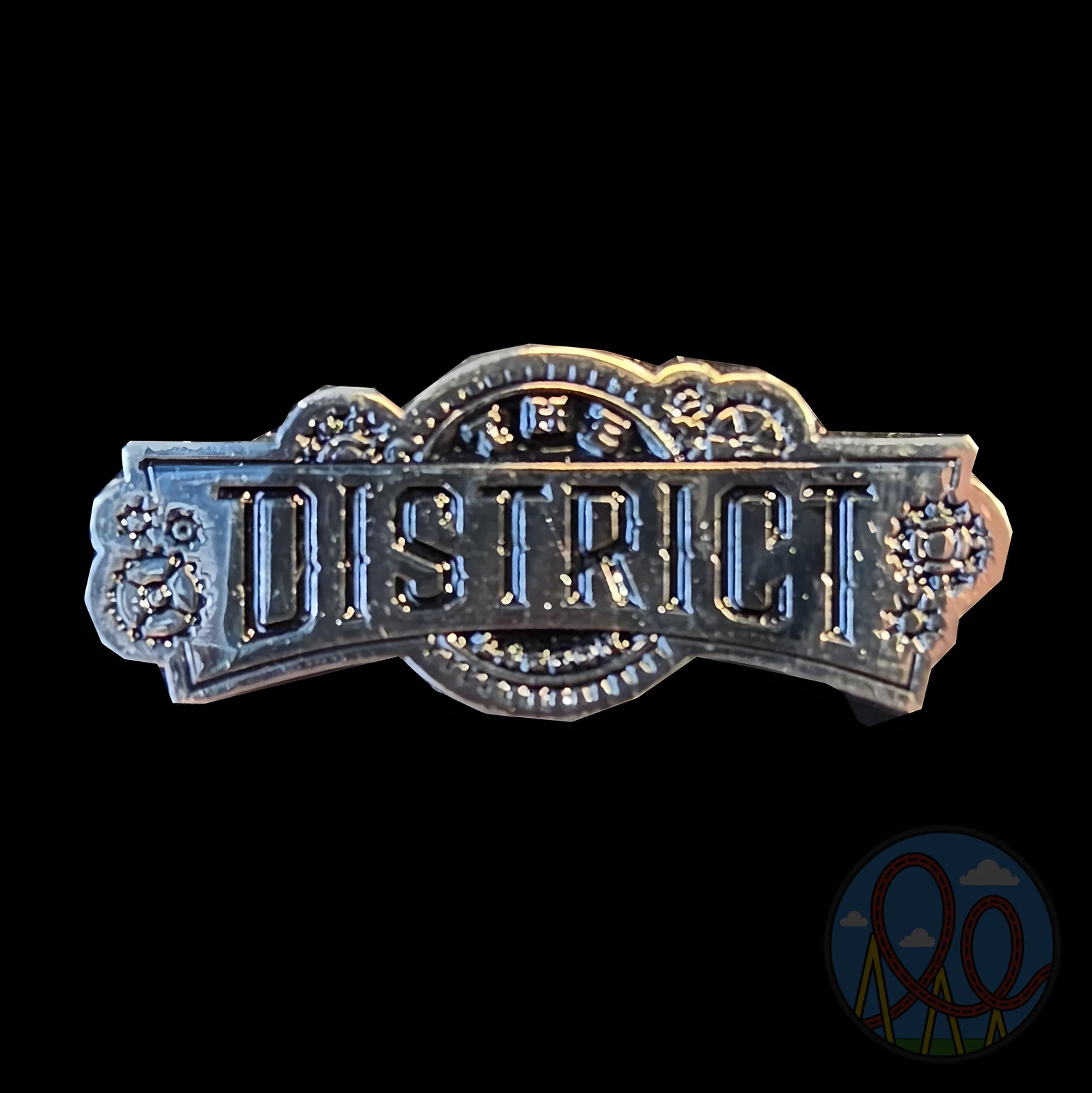 The District amusement park pin